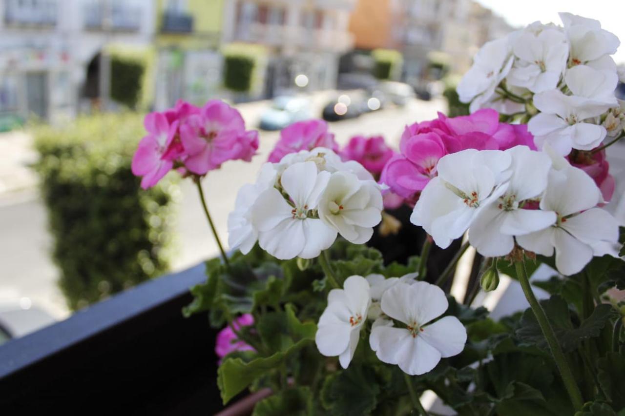 Wisarelax Bed and Breakfast Brusciano Buitenkant foto